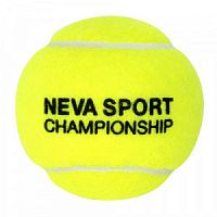 Мяч б/т NS Championship 3В, 124002